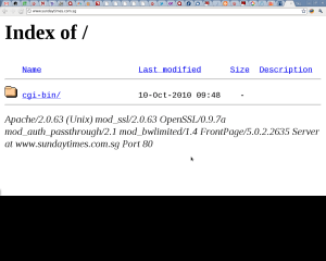 www-sundaytimes-com-sg