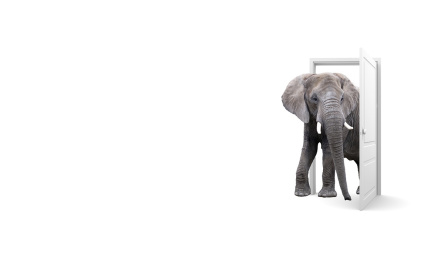 elephant-in-the-room
